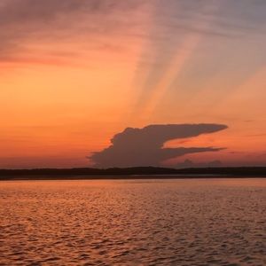 Meet your Posher, Caitlin